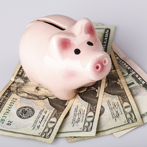 Piggy bank with money